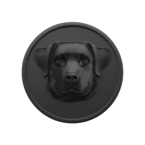 "The DogCoin Deluge"